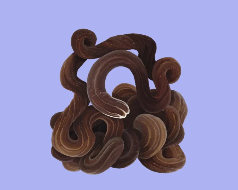 The Bootlace Worm: Meet the Record-Breaking Marine Invertebrate That Fires Toxic Slime