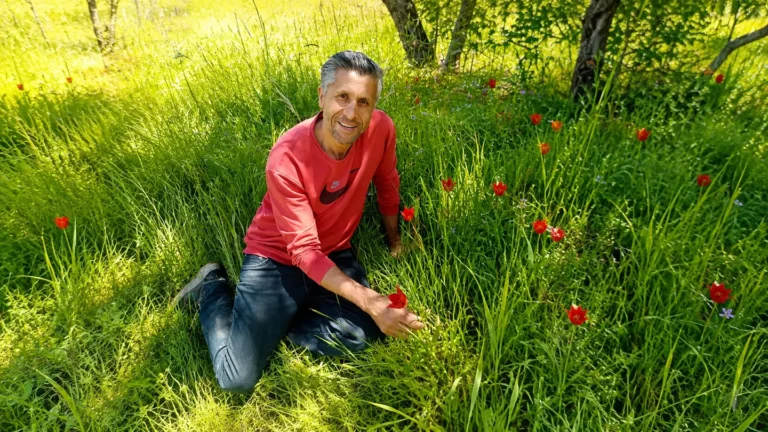 Retired Janitor Rediscovers Legendary ‘Lost Turkish Tulip’ Thought Extinct Since 1896