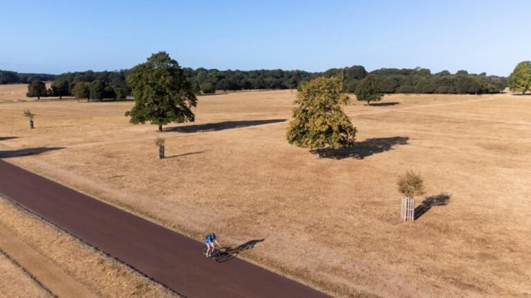 Over Two-Thirds of England Now Officially in Drought Following Record-Dry July