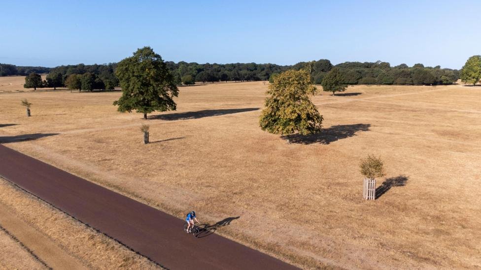 Over Two-Thirds of England Now Officially in Drought Following Record-Dry July