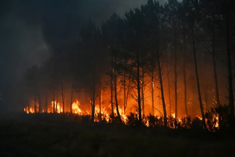 Pine-cone grenades and planet-baking carbon: the French fires 170 years in the making