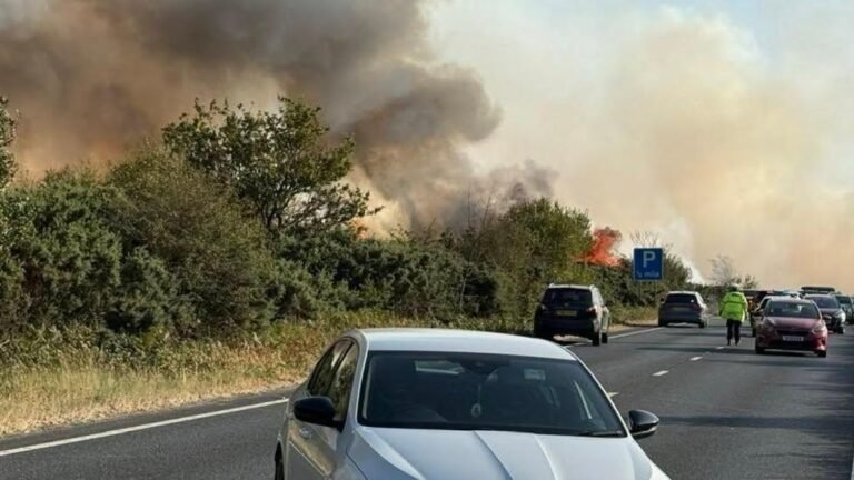 What we know about New Forest firefighting to continue overnight as cars abandoned