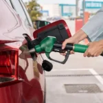 Bank of England Holds Interest Rates Amid Energy Price