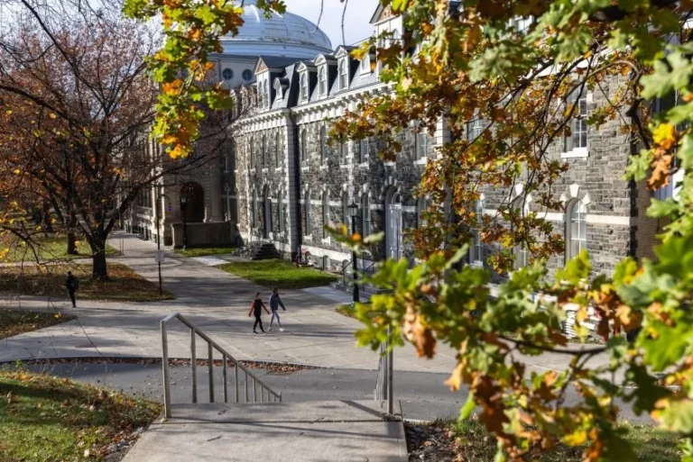 New York Prosecutors Reviewing Cornell safety case Amid New